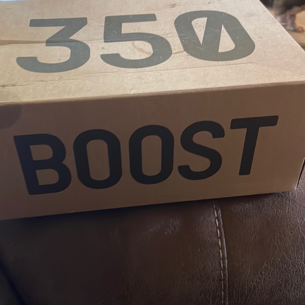 Yeezy boost 350 V2